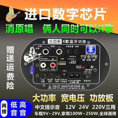 一键消原唱 双话筒k歌大功率蓝牙功放板12V24V220V低音炮功放板