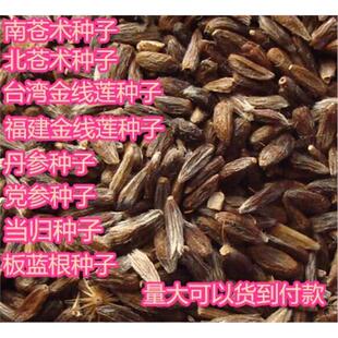 新采药材种子 金线莲种子 南 北苍术丹参党参柴胡桔梗板蓝根种子