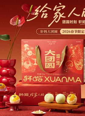 轩妈家新春礼盒蛋黄酥新春礼包中式新春礼盒传统糕点送礼送伴手礼