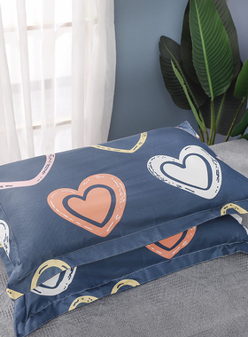 方格枕套一对枕头套单成人大学生宿舍大号枕皮套夏季男女神4874cm