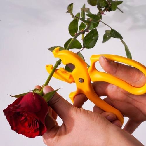 打刺钳二合一新款玫瑰花去刺神器