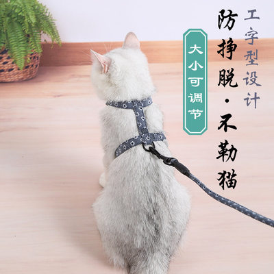 猫咪牵引绳防挣脱可调节拴猫绳