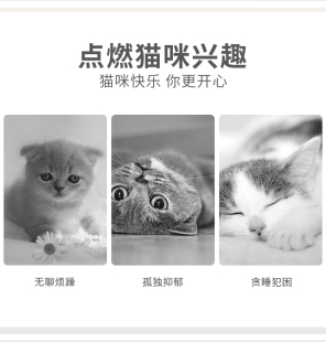 激光逗猫棒红外线激光笔猫玩具自嗨解闷神器充电逗猫激光灯猫用品