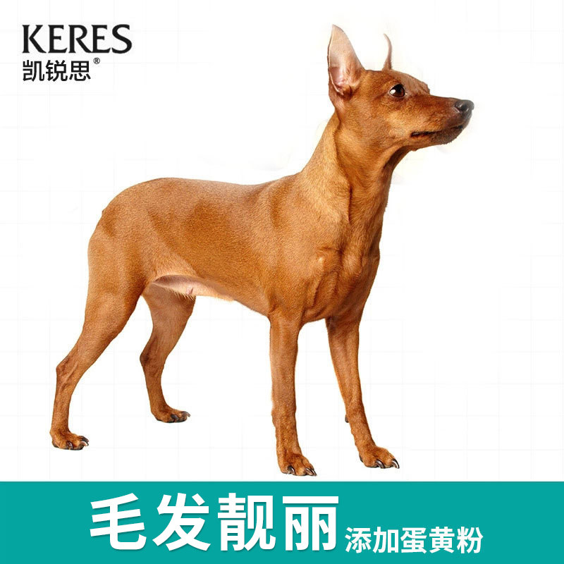 凯锐思小鹿犬狗粮专用粮成犬幼犬粮通用小型犬20斤