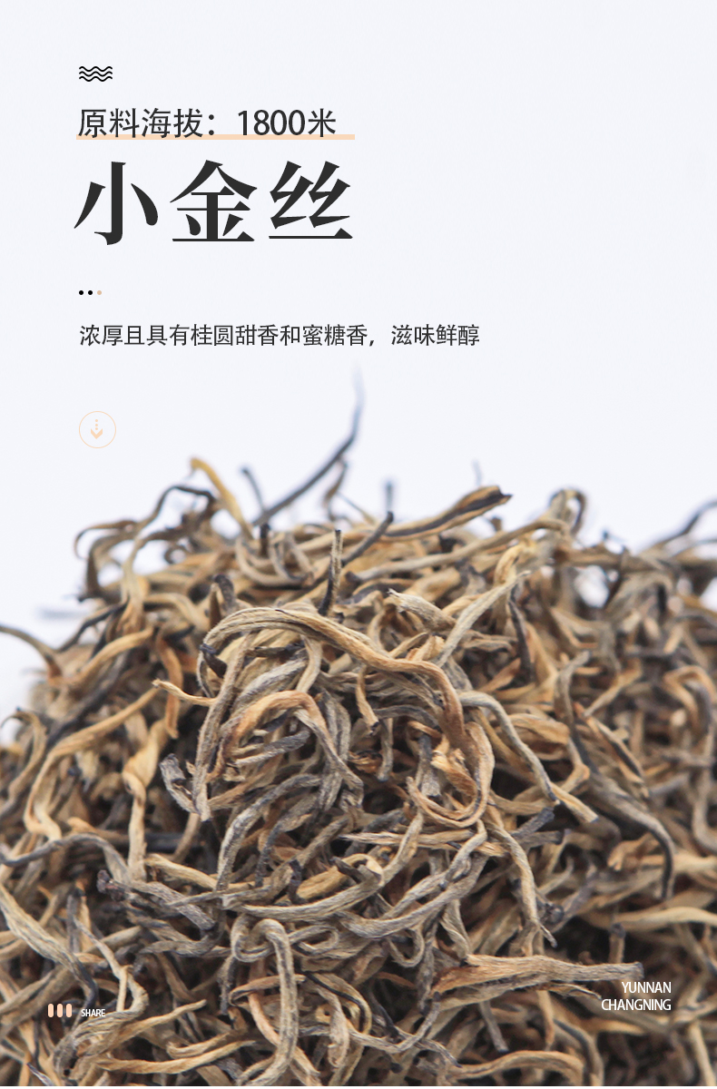 遐尔滇红云南保山昌宁大叶种金丝