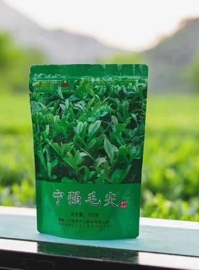 2025年陕南绿茶汉中毛尖千山茶叶