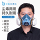 中科贝思达8500防毒面具喷漆专用防有机气体甲醛异味农药防尘面罩