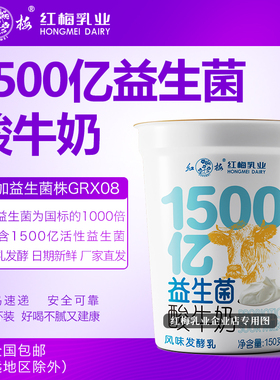 红梅乳业1500亿益生菌酸奶 150g/杯 10杯装