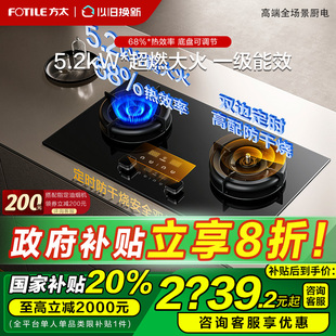 TEK20双灶定时防干烧燃气灶煤气灶天然气家用 空气舱 方太02