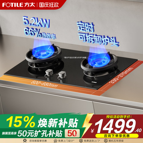 双灶独立定时煤气天然气家用