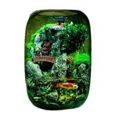 新款 时来运转生态水培植物瓶微景观小鱼缸办公室桌面客厅摆件创意