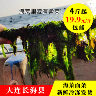 大连长海县新鲜海菜，鲜嫩海绿菜，包子馅和熬汤，营养丰富无添加