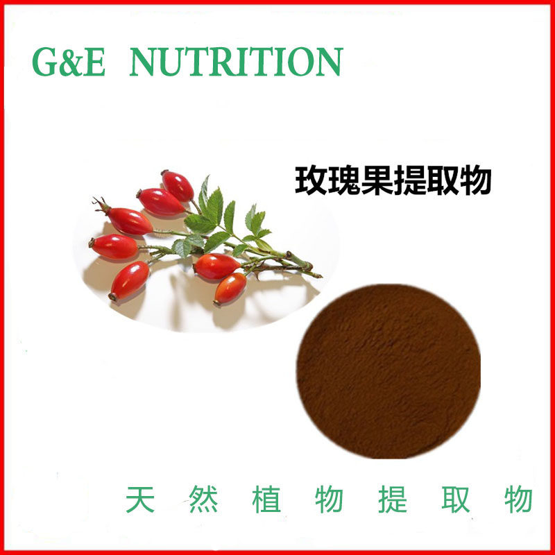 玫瑰果提取物粉 浓缩粉1000克 包邮 天然植物提取物原料 厂家直销