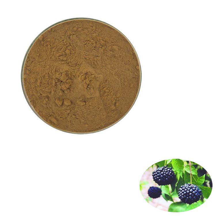1000g 纯天然 20:1 刺五加提取物 西伯利亚人参浓缩粉末 包邮现货