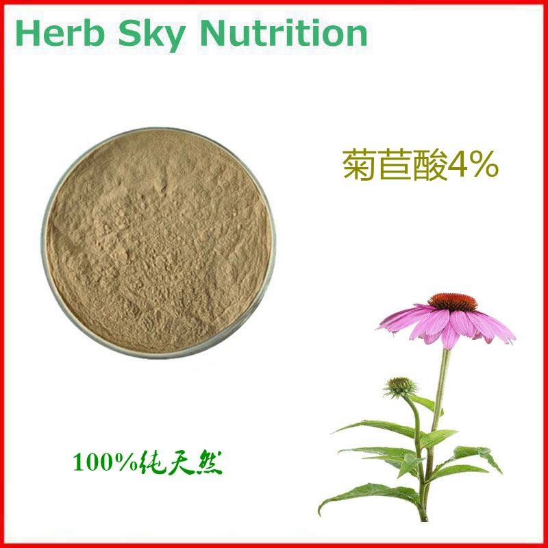 100g 紫锥菊菊苣酸4% 高含量紫锥菊提取物 包邮 量大优惠