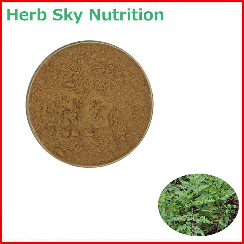 500g 纯天然 20:1 海金沙提取物 金沙藤左转藤浓缩粉 水溶性