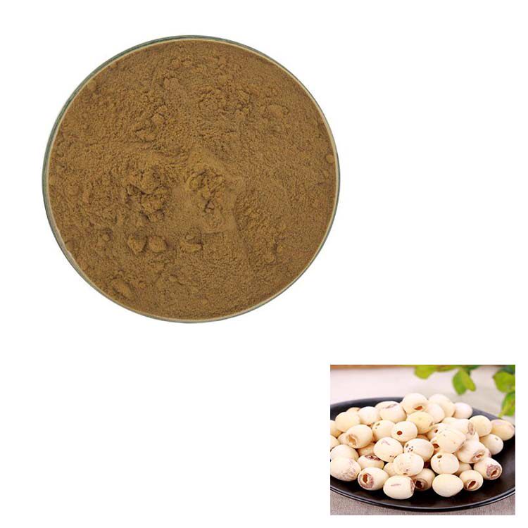 1000g 纯天然 20:1 莲子提取物 高含量浓缩粉末 包邮现货