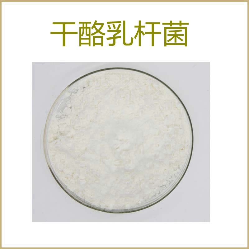 纯天然 干酪乳杆菌100亿cfu/g 益生菌冻干粉 水溶性 包邮现货