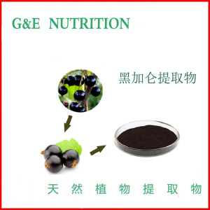 天然黑加仑提取物粉末 10:1 植物提取物浓缩粉末（500克）包邮