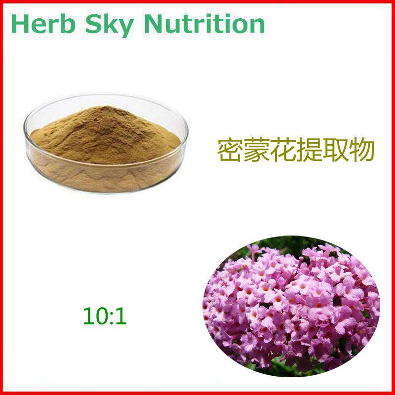 500g 纯天然 密蒙花提取物 野生迷蒙花浓缩粉 10:1 包邮现货