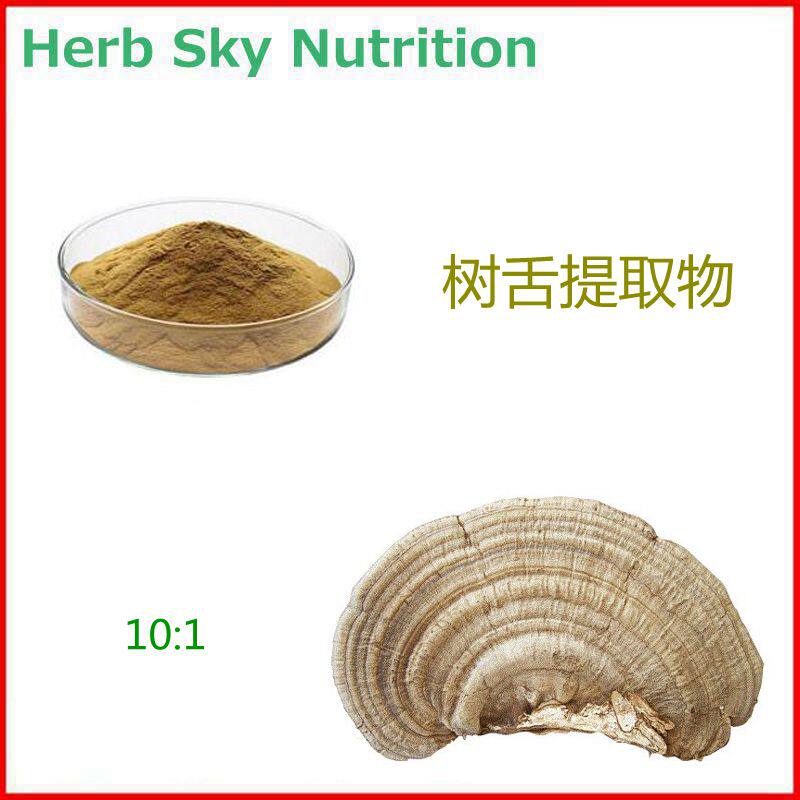 1000g 工厂直销 树舌提取物 平盖灵芝多糖粉植物提取物浓缩粉10:1