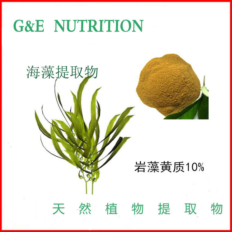 岩藻黄质10% 海藻提取物粉 褐藻粉大量现货 包邮 100克
