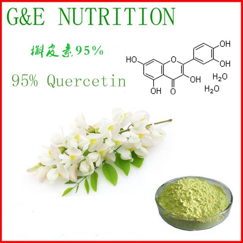 500g 槲皮素98% 高含量 槐米提取物粉末  HPLC 包邮现货