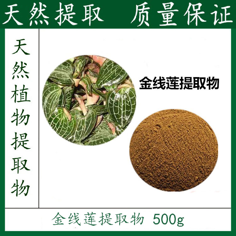 金线莲提取物 10:1 浓缩粉 500g 包邮 厂家直销 天然植物萃取