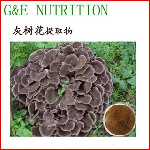 灰树花提取物 粉末 10:1 灰树花粉 灰树花多糖 1000g  包邮