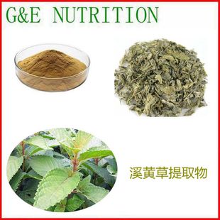100g 纯天然 溪黄草提取物 植物浓缩粉 10:1 包邮 量大优惠