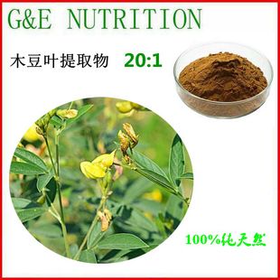 100g 纯天然木豆叶提取物粉末 20:1 包邮 量大优惠