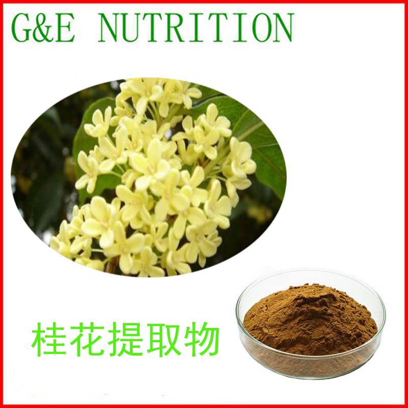 500g 纯天然桂花提取物 植提源头厂家现货供应 桂花粉