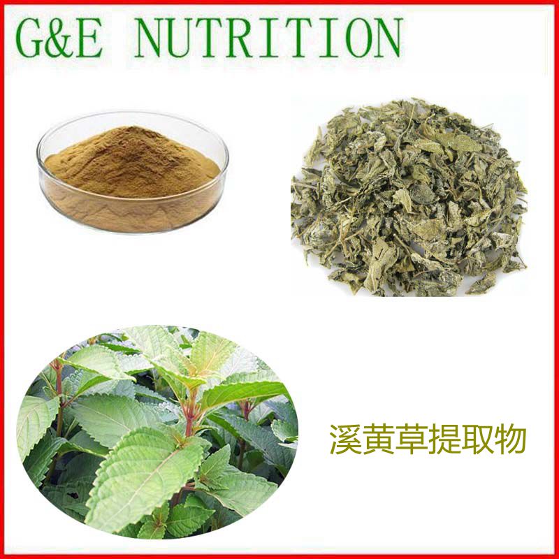 1000g 纯天然 溪黄草提取物 植物浓缩粉 10:1 包邮 量大优惠