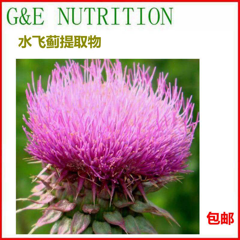 500g 水飞蓟提取物粉末10:1 水飞蓟粉 浓缩粉 全国包邮