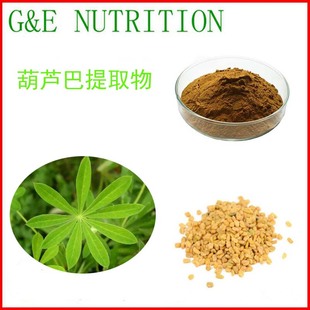 纯天然提取 包邮 厂家直销 葫芦巴粉 葫芦巴提取物 500g