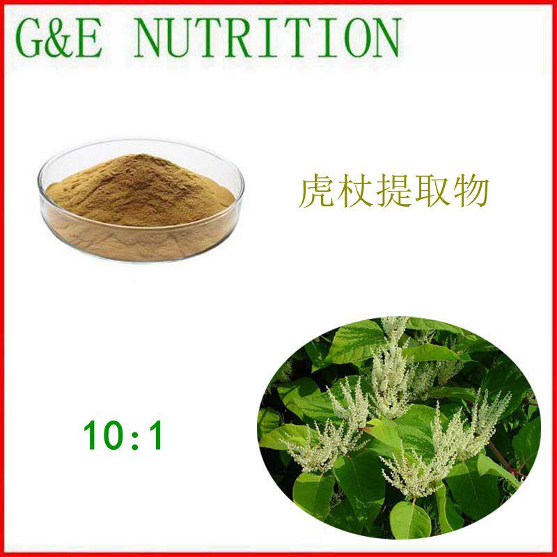 1000g 纯天然 虎杖提取物 10:1 植物浓缩粉 包邮 量大优惠
