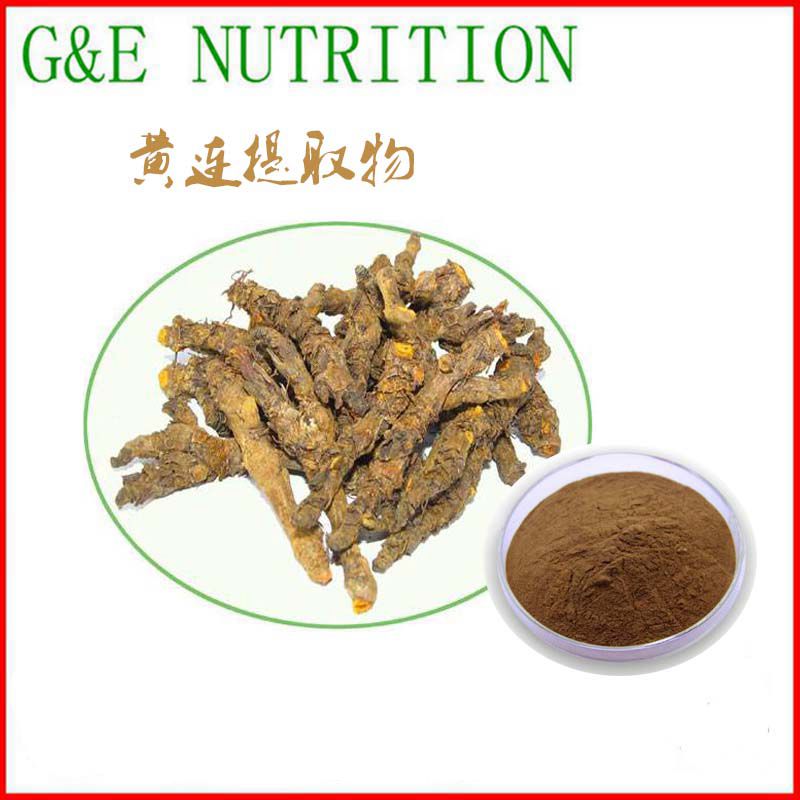 500g 纯天然黄连提取物粉10:1 黄连粉 天然植物提取物 包邮