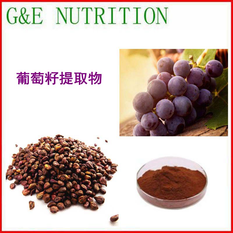 天然葡萄籽提取物粉末10:1 含原花青素 厂家直销 量大优惠 500g