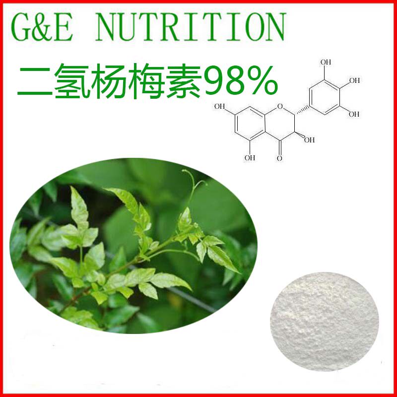 厂家供应 藤茶提取物 二氢杨梅素98% 天然植物提取 包邮 100g