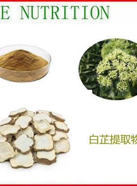 1000g 工厂直销 白芷提取物 植物浓缩粉 10:1 量大优惠 包邮