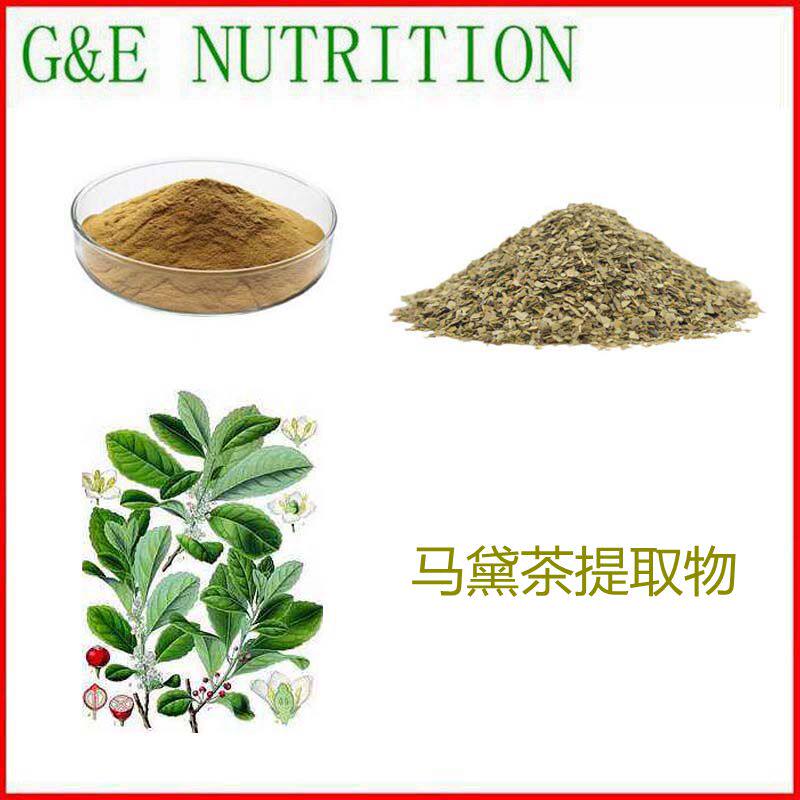 500g 纯天然 马黛茶提取物 植物浓缩粉 10:1 包邮现货