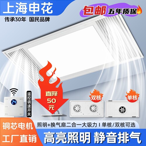 申花双核换气扇照明二合一30X60