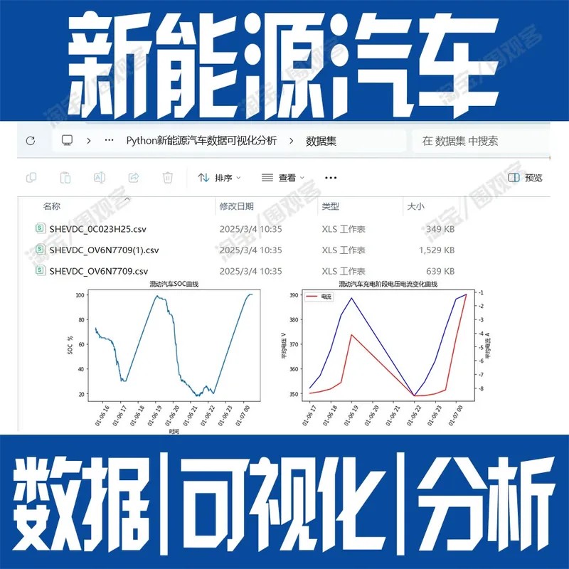 Python新能源类汽车数据可视化分析统计ipynb预处理jupyter折线图