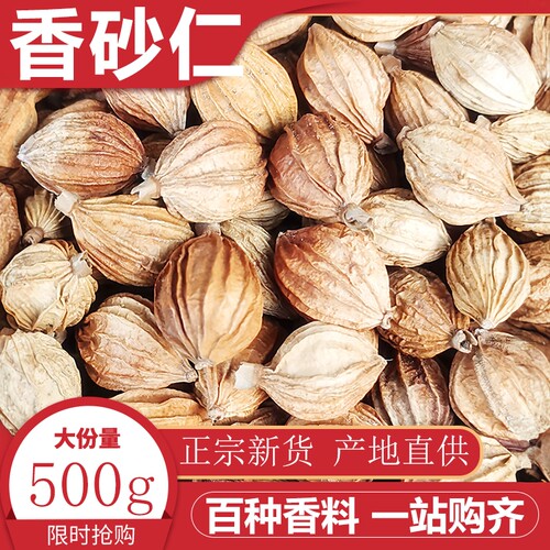 香砂仁500g四川砂仁香辛料