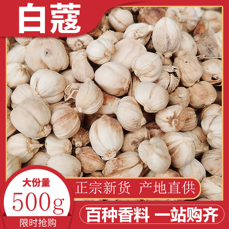 白蔻500g白扣白寇白豆蔻豆叩香料调料大全火锅烧肉卤菜调料调味料 粮油调味/速食/干货/烘焙 香辛料/干调类 原图主图