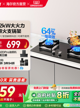 以旧换新补贴海尔燃气灶煤气灶猛火双灶家用台嵌大火力2BE6/H70A