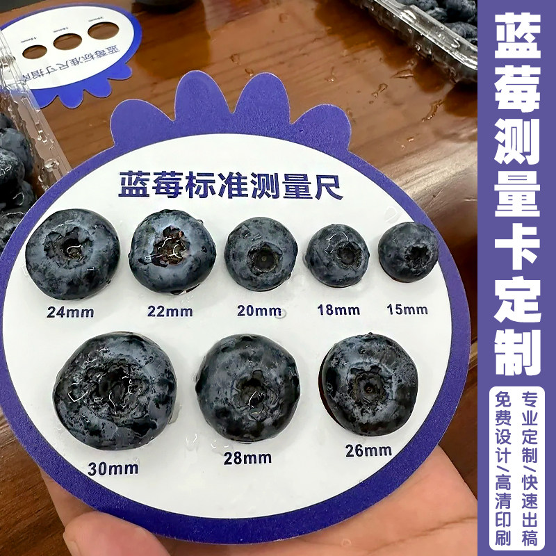 蓝莓标准测量卡定制鲜果果径尺寸大小分级塑料樱桃草莓测量工具尺