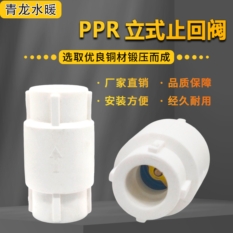 PPR立式止回阀单向阀4分6分