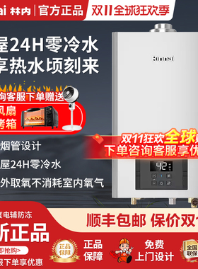 Rinnai/林内 RUS-R16U53G-CH平衡式开放式厨房浴室16升燃气热水器