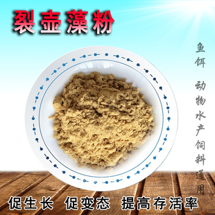 裂壶藻粉 轮虫营养强化饲料饵料水产幼苗DHA饲料添加剂卤虫鱼粮